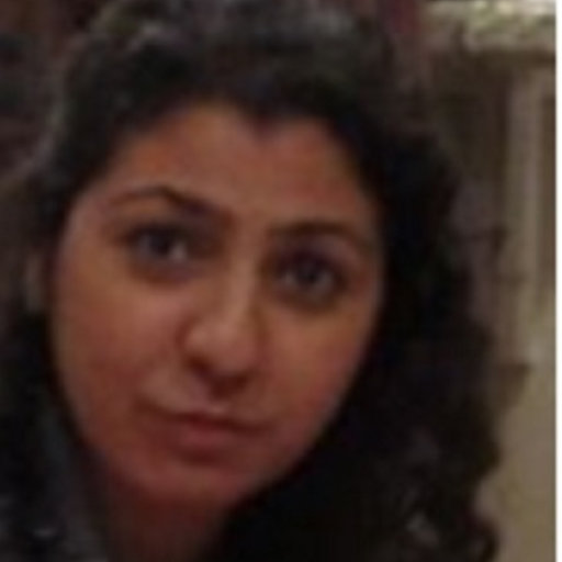 Simin Sadeghi Research Assistant Phd Student Texas A M University Texas Tamu Department Of Petroleum Engineering