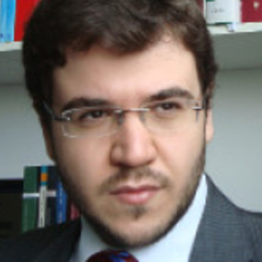 Eduardo DINIZ, Professor (Full), PhD