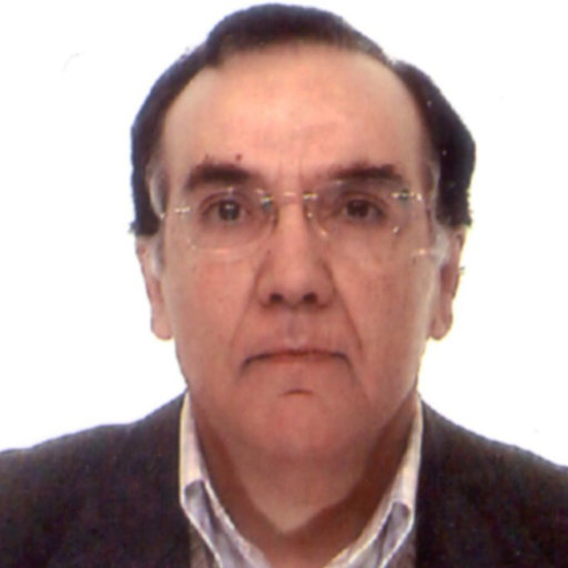Luis ALMELA | Professor (Full) | University of Murcia, Murcia | UM ...