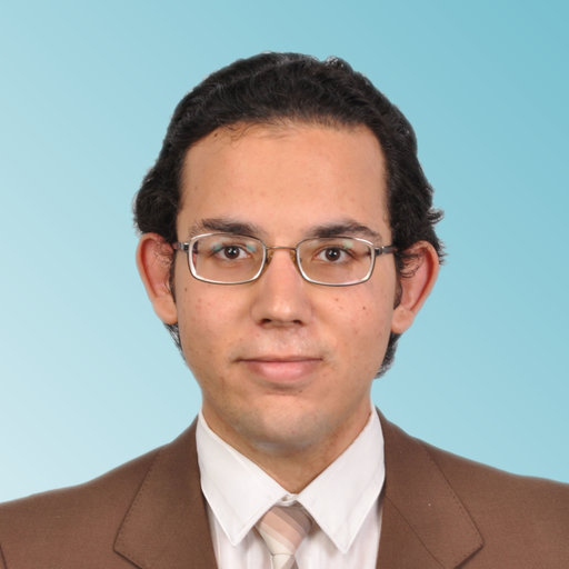 Youssef SALAHUDDIN SAYED HASSAN | PhD Student | Bachelor of Science ...