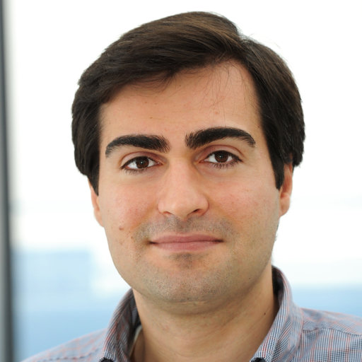 Mehdi RAHIMIAN | Senior Manager | PhD | Research profile