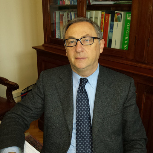 Michele MODESTI Professor Full PhD University of Padova