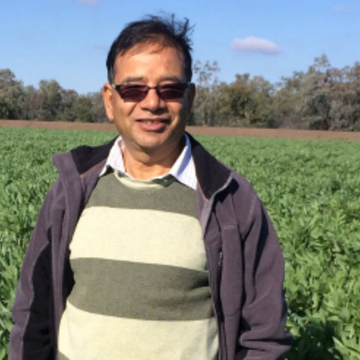 Kedar Adhikari Program Leader Grain Legume Breeding Bsc Honours Agri Msc Phd The