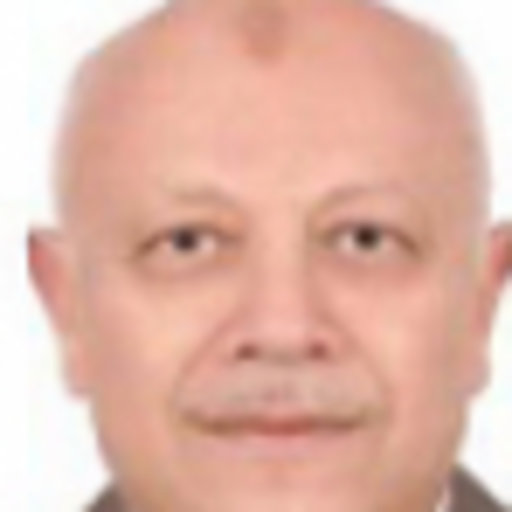 Saad Kassem Ph D Cairo University Cairo Cu