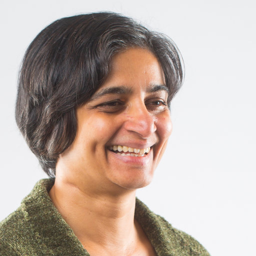 Banu Subramaniam Professor University Of Massachusetts
