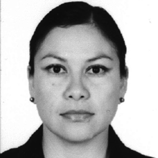 Raquel MARTINEZ-VALDEZ | Postdoctoral research fellow | PhD ...