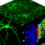 A Versatile Synthetic Affinity Probe Reveals Inhibitory Synapse  Ultrastructure and Brain Connectivity** - Khayenko - 2022 - Angewandte  Chemie International Edition - Wiley Online Library