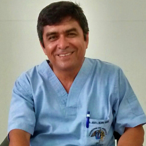 Julio HILARIO VARGAS Professor Doctor National University of