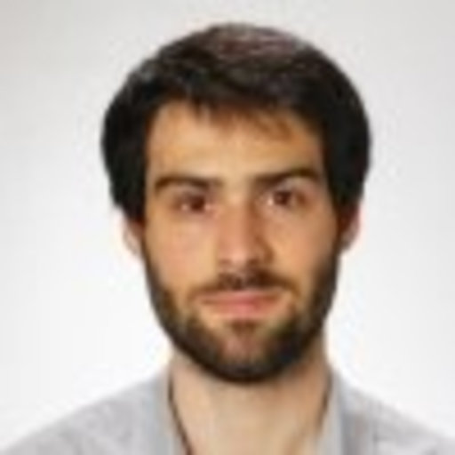 Alessandro GHIRETTI | PhD Student | M.Sc. | University of Florence ...