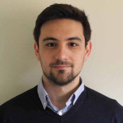 Juan GUZMAN IÑIGO | PhD | Imperial College London, London | Imperial ...