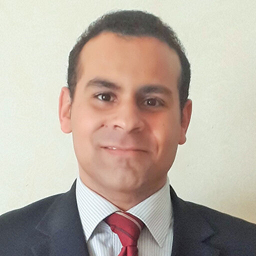 Ramy KHORSHID | Professor (Associate) | Doctor of Medicine | Ain Shams ...