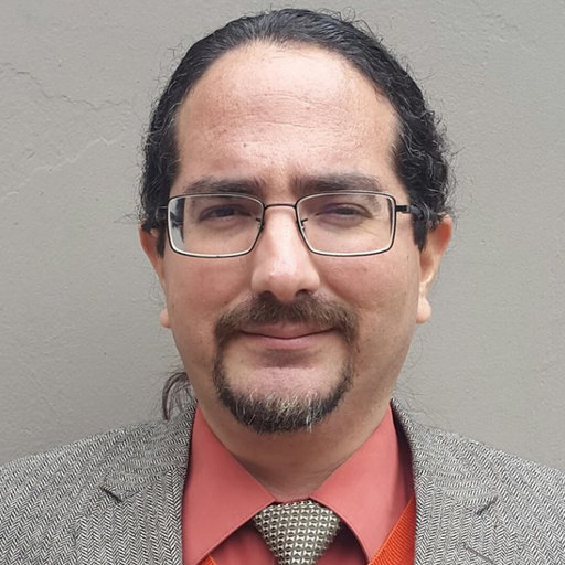 Luis SALCEDO CAMACHO Professor Doctor in Archaeology National