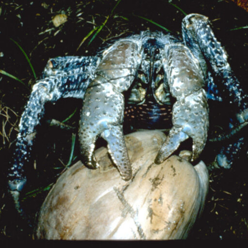 Brett Gardner - Central Coast, New South Wales, Australia