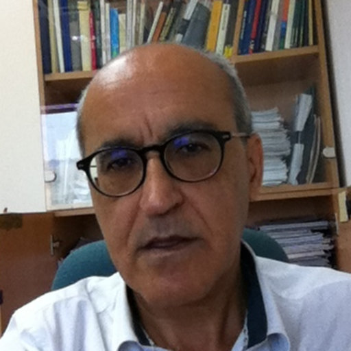 Ciro RICCO Researcher National Institute of Geophysics and