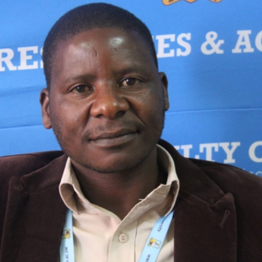 Tendai CHENGU, Midlands State University, Gweru, Mining