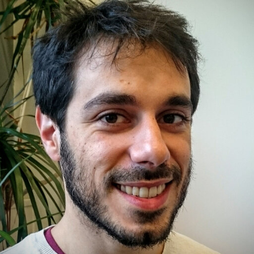 Enrico Sandro COLIZZI | Postdoc | PhD | University of Cambridge ...