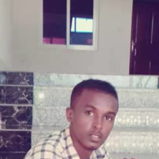 Abdi Malik ALI | SIMAD University, Mogadishu | Department of Economics ...