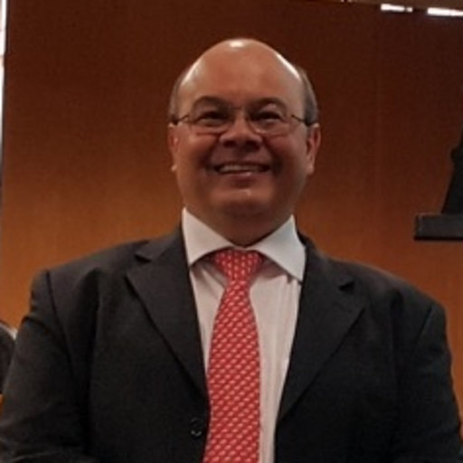 Ricardo Sousa Sampaio - Engenheiro Orçamentista (Cost Engineer