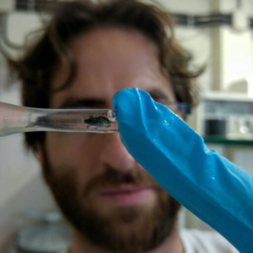 Pablo JIMENEZ PRADA | PhD Student | Marine Biology | Universidad de  Sevilla, Sevilla | US | Zoology | Research profile