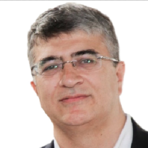 Nurullah AKKOÇ Professor Full  Research profile 