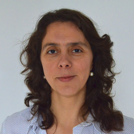 Ana Luísa RODRIGUES | Professor (Assistant) | PhD. in Education