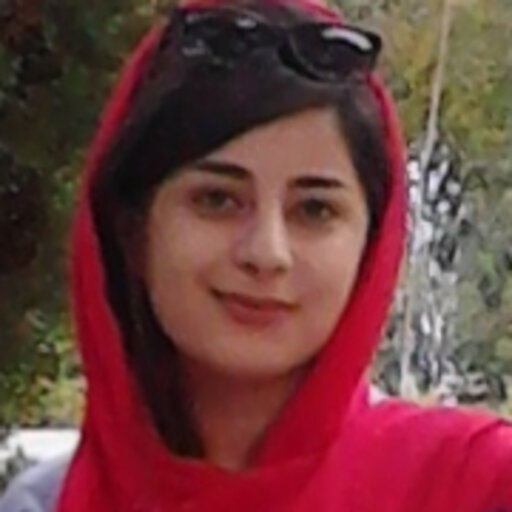 Zahra VEYSI | ms | Iran University of Science and Technology, Tehran ...
