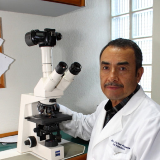 Victor ARGUETA | Ananatomic pathology | Hospital San Juan de Dios ...