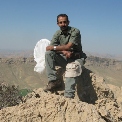 Alireza NADERI | Lepidopterist at entomological section | Department of ...