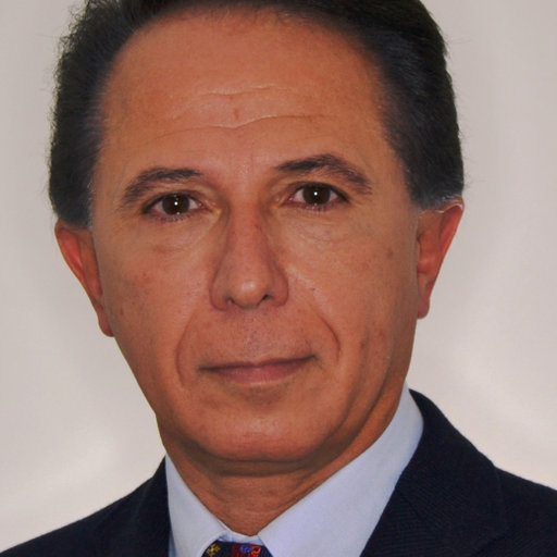 Image of Portrait of Maurizio Ferraris 2013