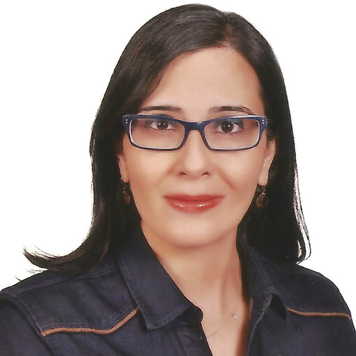 A. Selen GURKAN-ALP | Professor (Associate) | PhD | Ankara University ...