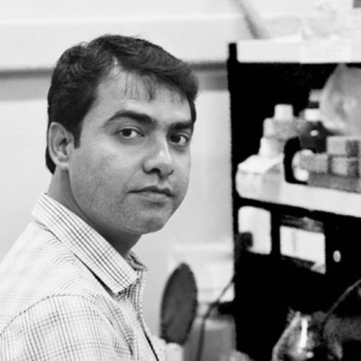 Ashutosh KUMAR Research scientist PhD Washington University in St