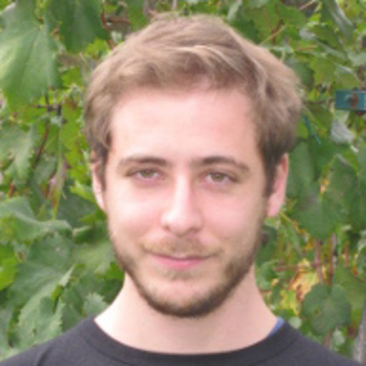 Luca BALDESI | PhD Student | PhD in Computer Science | Università degli ...