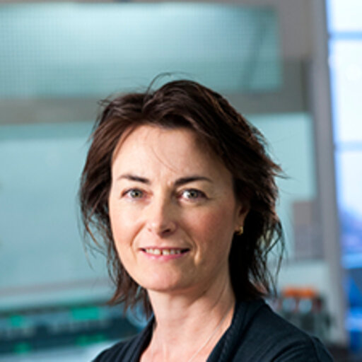 Michele GRIMBALDESTON Principal Scientist Doctor of Philosophy