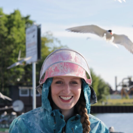 Nathalie KÜRTEN | Postdoc and Field Manager of the Common Tern Colony ...