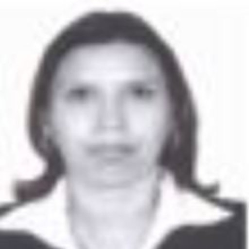 Carmen Liliana RODRÍGUEZ PAEZ | PhD Ingenieria de Sistemas ...