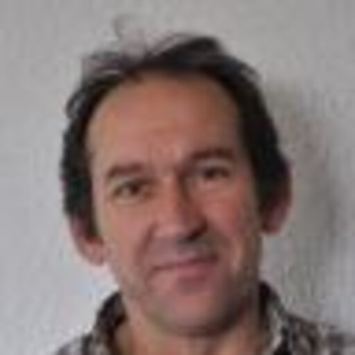 Damià GOMIS BOSCH | Professor (Full) | PhD Physical Sciences ...