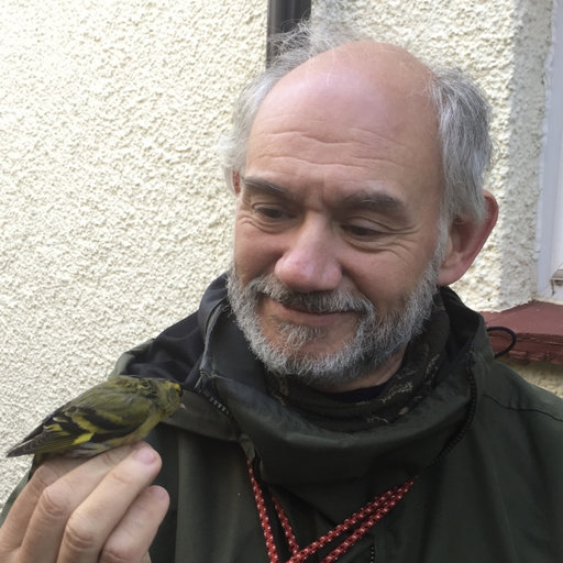 Andrew GOSLER | Professor | D.Phil. Oxon (Zoology) | University of Oxford, Oxford | OX | Institute of Human Sciences & Edward Grey Institute of Field Ornithology | Research profile