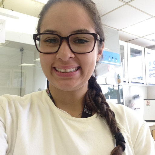 Beatriz BORGES Electron Microscopy Specialist Doctor of