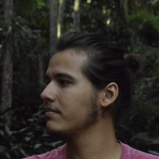 Vinicius SANCHES | PhD Student | University of São Paulo, São Paulo ...