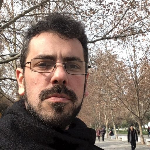 Martín PÉRGOLA | Assistant Professor | Doctor | Universidad de Buenos ...