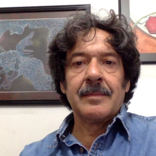 Jorge CARRERA-BOLAÑOS | Professor | Doctor of Philosophy, Doctor in Applied  Mathematics | Universidad Nacional Autónoma de México, Mexico City | UNAM |  Division of Mechanical and Industrial Engineering | Research profile
