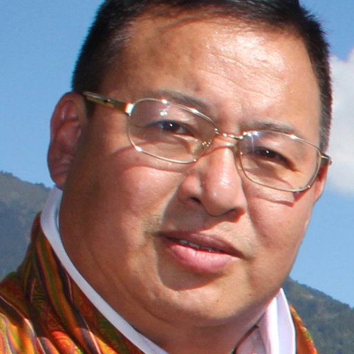 Phurb DORJI | Head | Bachelor of Medicine | Medical | Research profile