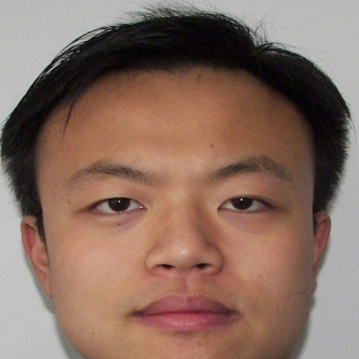 Chao YANG | Assistant Professor | PhD | Shanghai Jiao Tong University ...