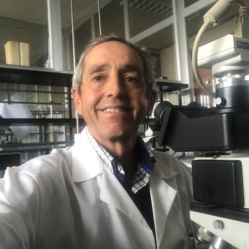 Ciro PÉREZ-GIRALDO | Medical Microbiology Laboratory | Doctor of ...
