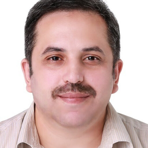 Ahmed HASSAN, Professor (Associate), Professor