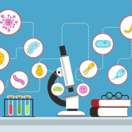 How can I convert a scanned figure into numerical data? | ResearchGate