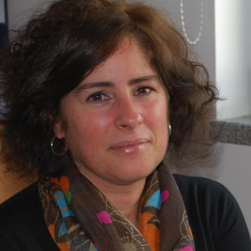 Ana Paula Marques Professor Associate Doctor Of Sociology University Of Minho Braga Departamento De Sociologia Dsoc