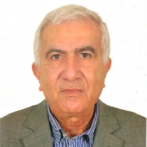 Hany MONEIB | Professor | Doctor of Philosophy | Helwan University ...