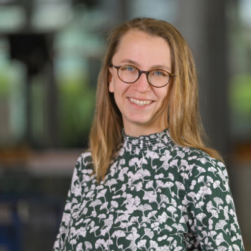 Katharina HOLSTEIN | Research Associate | Dr. Ing. | Research profile