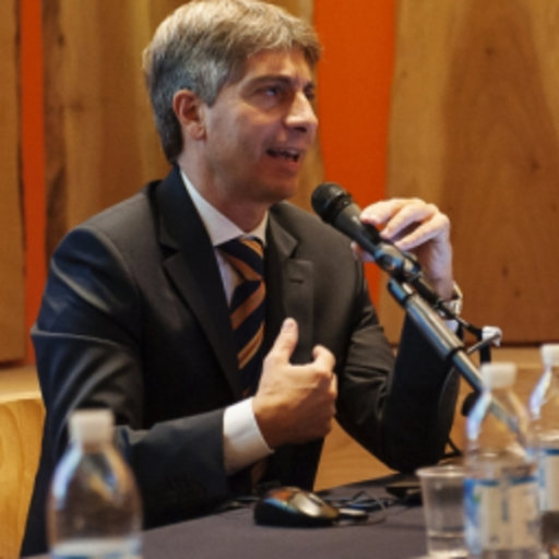 Maurizio FERRARIS, Senior Manager